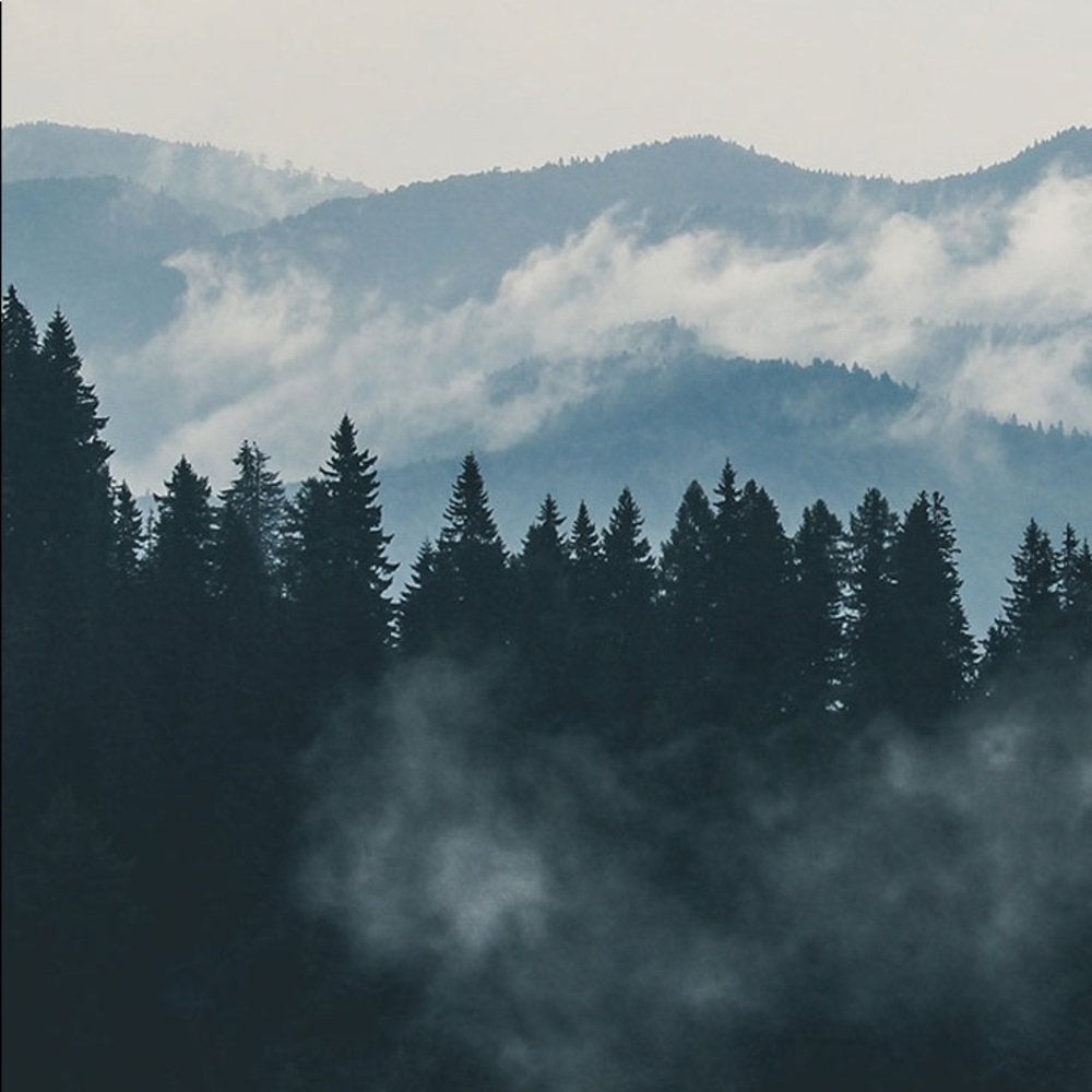 Meet your Posher, Anastasia